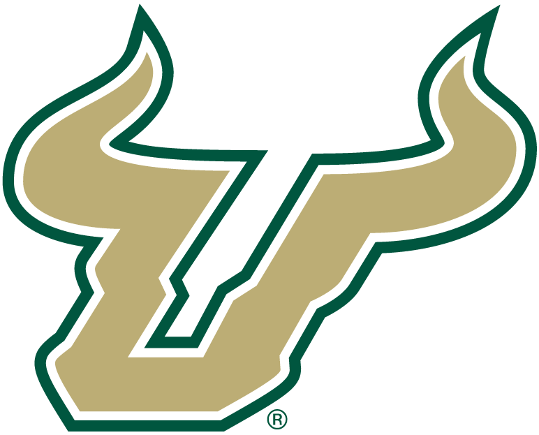 South Florida Bulls 2003-Pres Alternate Logo v2 iron on transfers for clothing